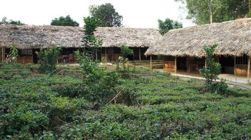 Family Homestay Ba Vi Room photo